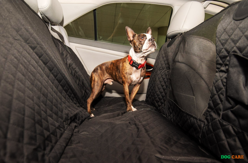 Back Seat Car Cover for Dogs