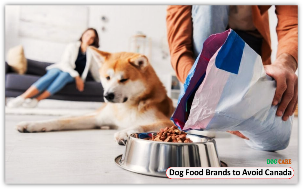 Dog Food Brands to Avoid Canada