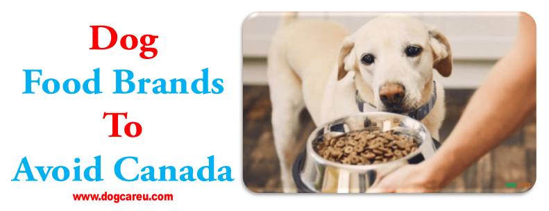 Dog Food Brands to Avoid Canada