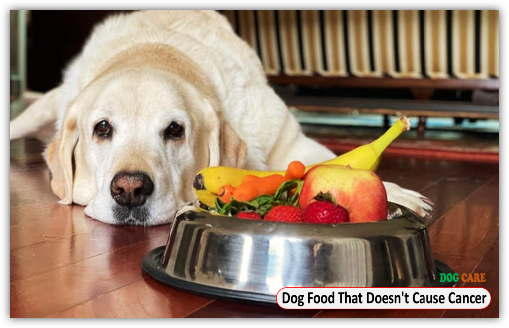 Dog Food That Doesn't Cause Cancer