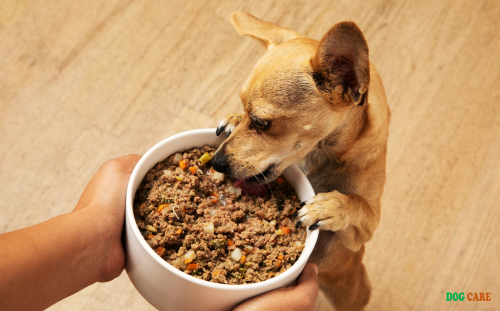 Grain-Free Dog Food Brands to Avoid