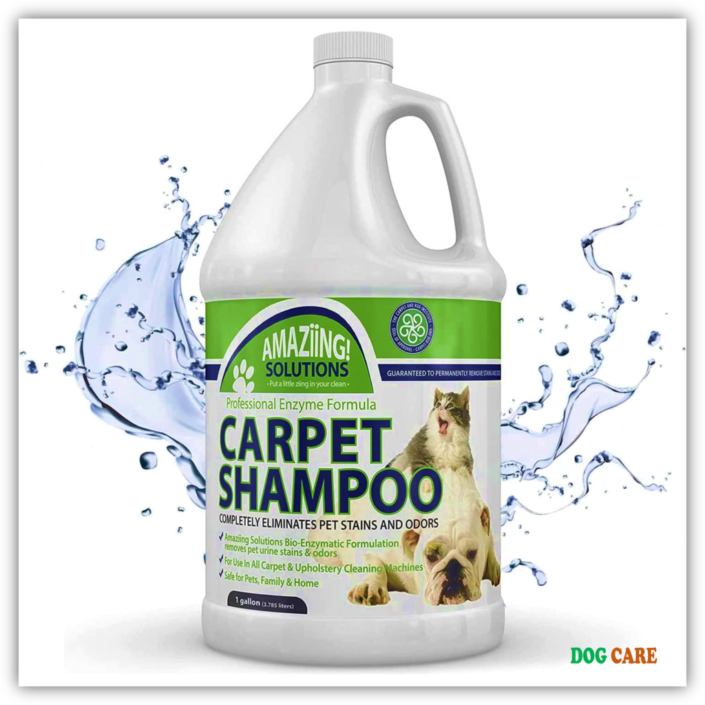 Homemade Carpet Shampoo for Dog Urine