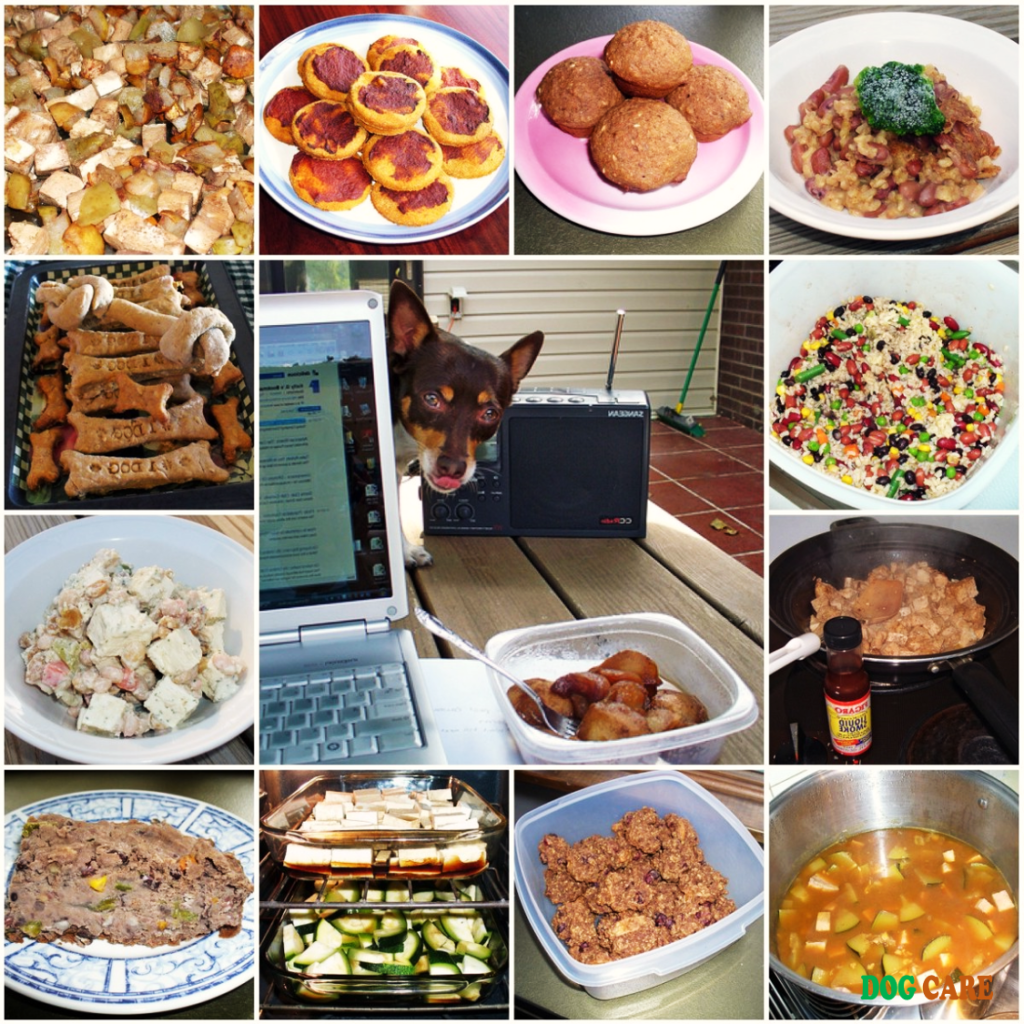 Top 10 Best Homemade Dog Food Recipes