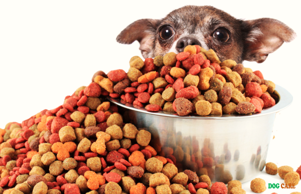 Worst Dry Dog Food Brands to Avoid 