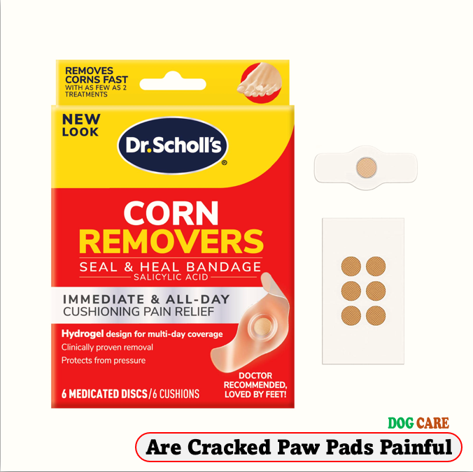 Are Cracked Paw Pads Painful