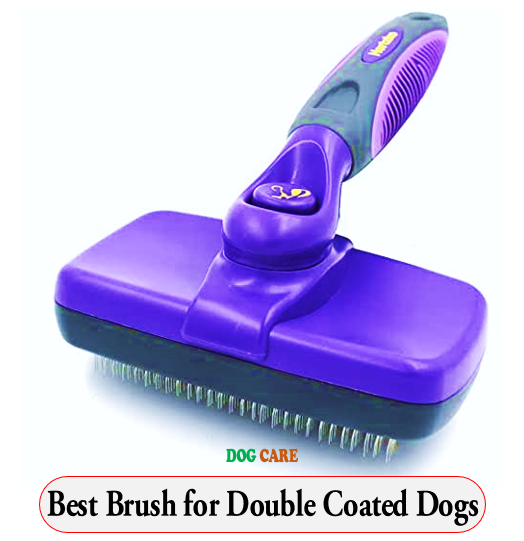 Best Brush for Double Coated Dogs