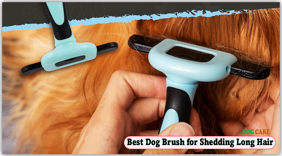 Best Dog Brush for Shedding Long Hair