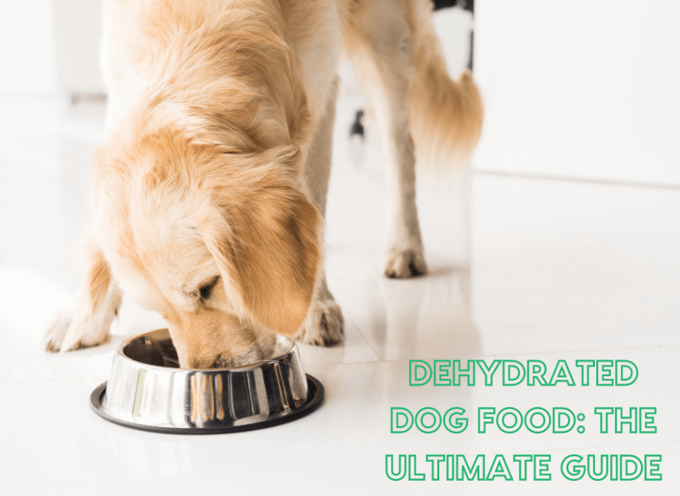 Best Dog Food for Small Dogs