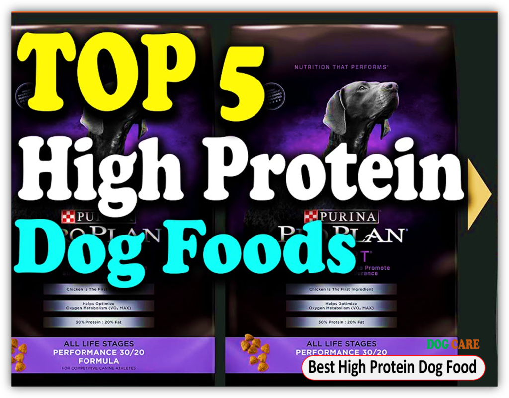 Best High Protein Dog Food.jpg