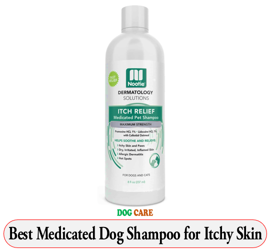 Best Medicated Dog Shampoo for Itchy Skin