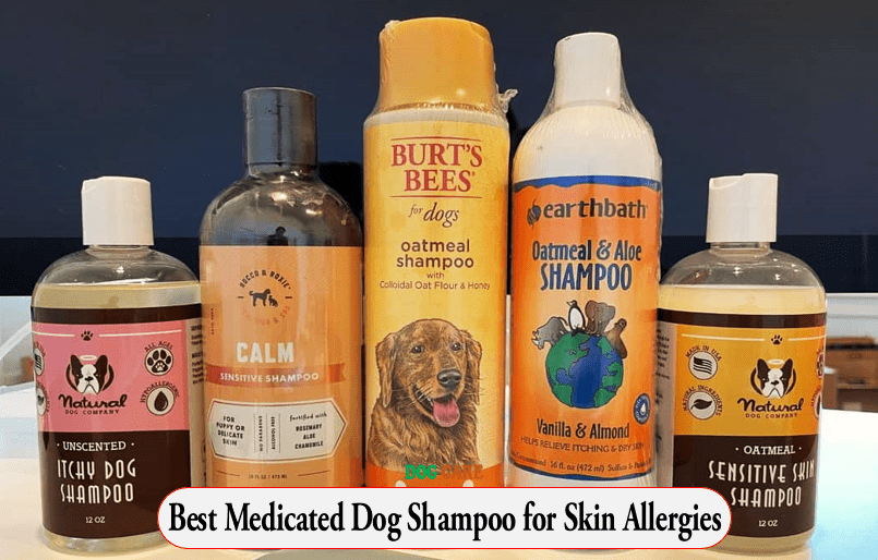 Best Medicated Dog Shampoo for Skin Allergies