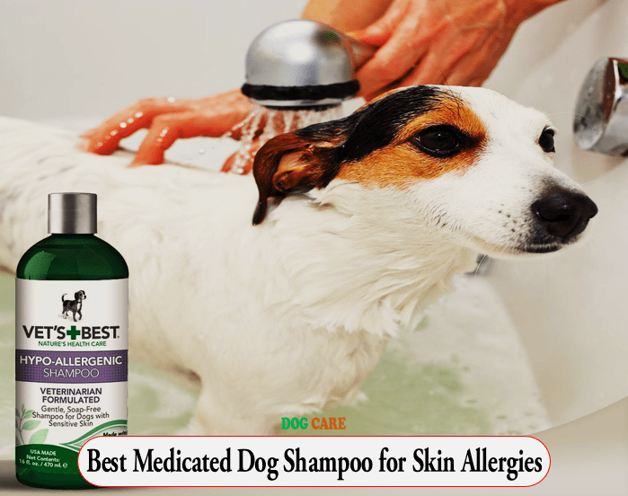 Best Medicated Dog Shampoo for Skin Allergies