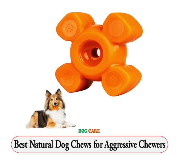 Best Natural Dog Chews for Aggressive Chewers