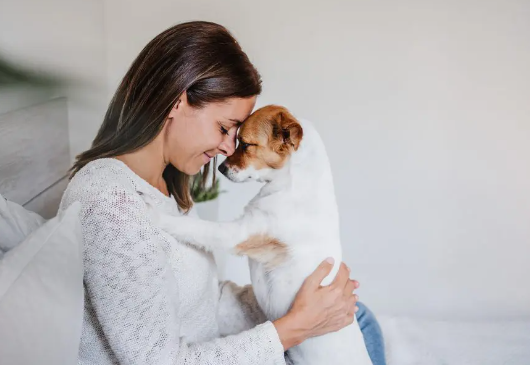 Can Dogs Sense Depression And Anxiety