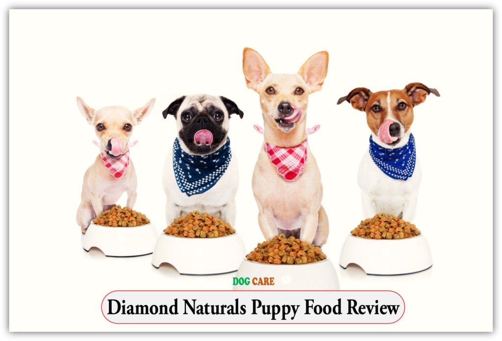 Diamond Naturals Puppy Food Review
