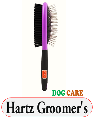 Best Brush for Short Hair Dogs