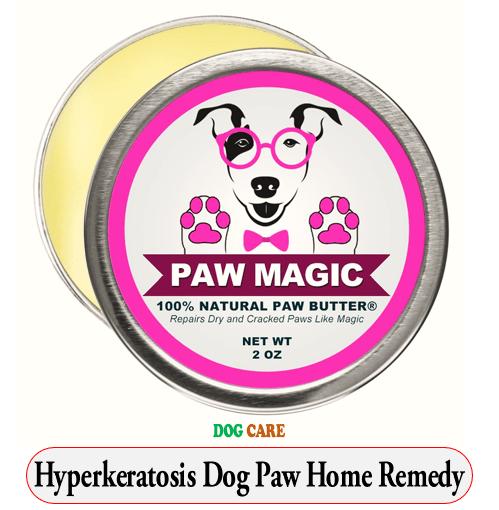Hyperkeratosis Dog Paw Home Remedy