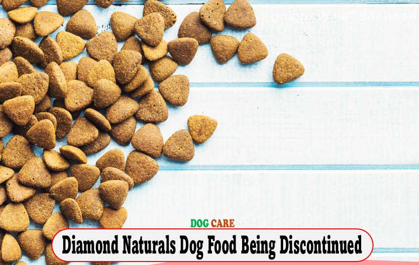 Is Diamond Naturals Dog Food Being Discontinued