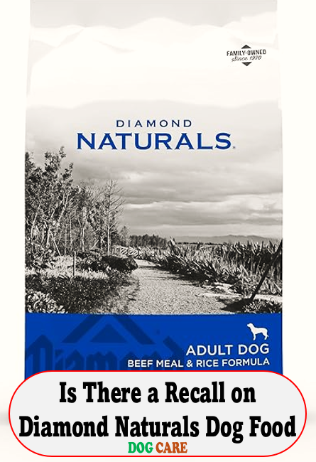 Is There a Recall on Diamond Naturals Dog Food
