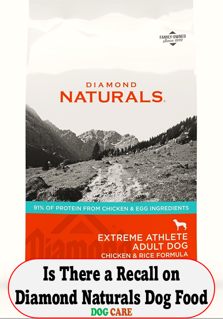 Is There a Recall on Diamond Naturals Dog Food