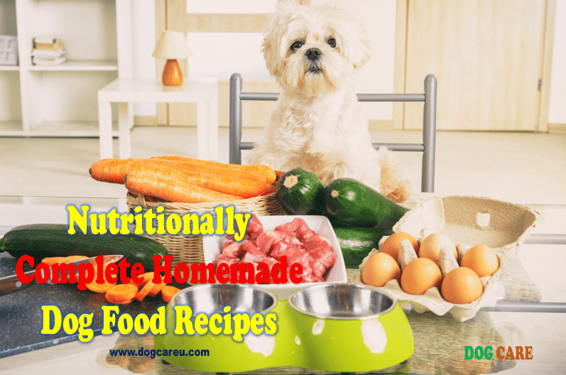 Nutritionally Complete Homemade Dog Food Recipes