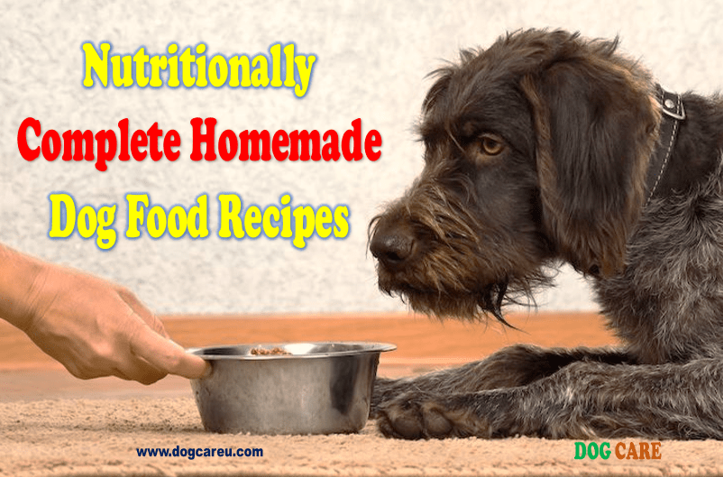 Nutritionally Complete Homemade Dog Food Recipes