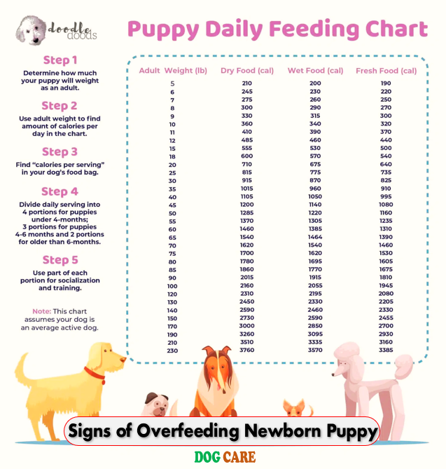 Signs of Overfeeding Newborn Puppy