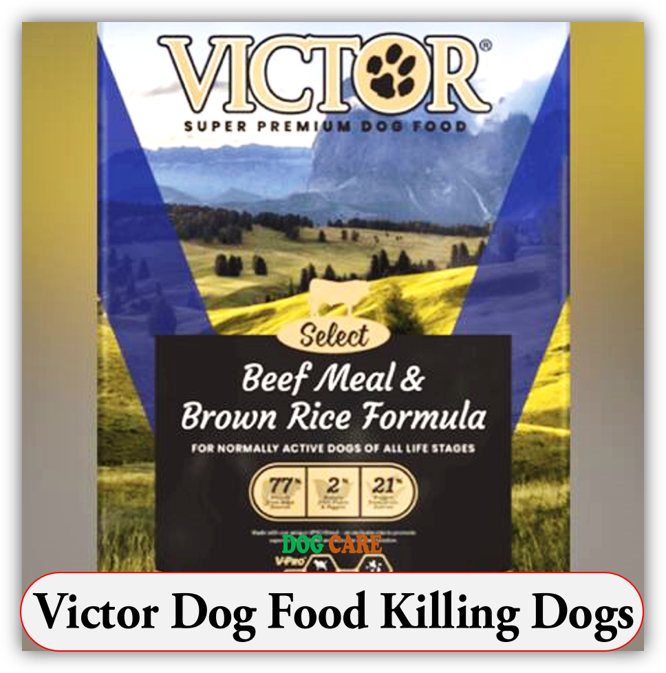 Victor Dog Food Killing Dogs