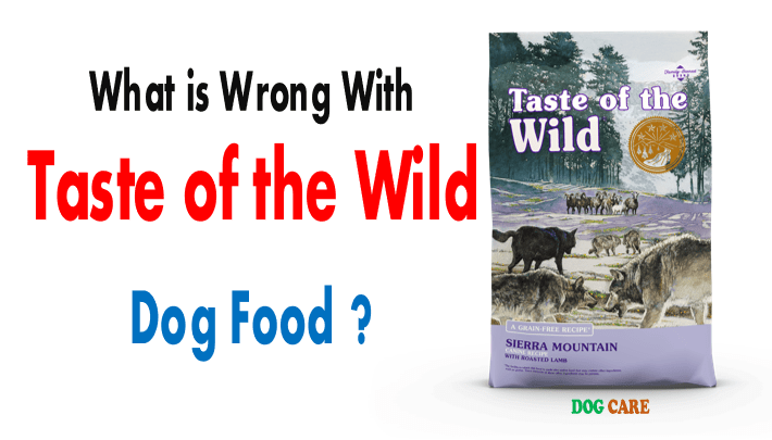 What is Wrong With Taste of the Wild Dog Food