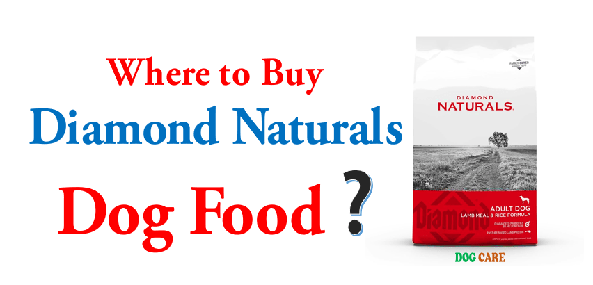 Where to Buy Diamond Naturals Dog Food