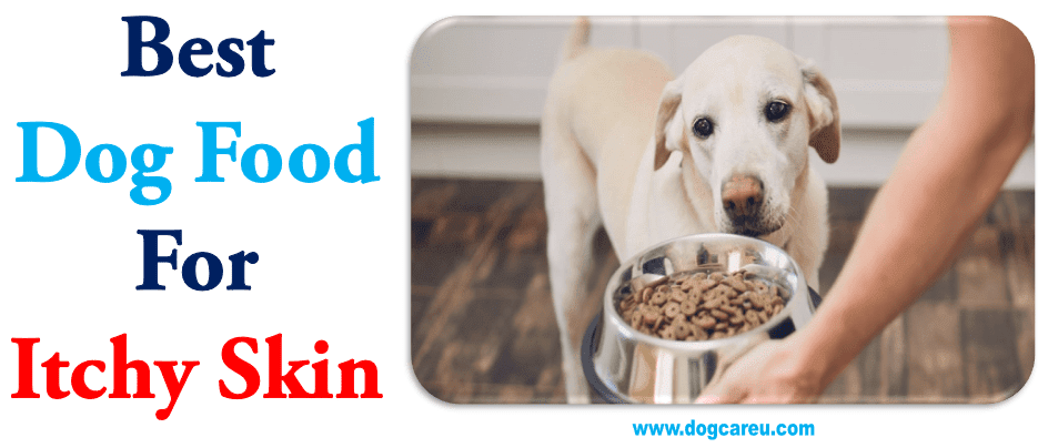 Best Dog Food for Itchy Skin