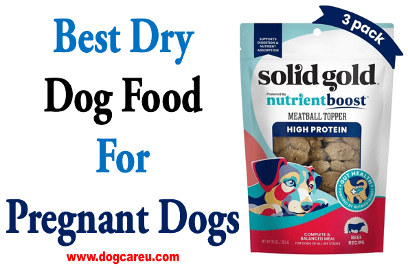 Best Dry Dog Food For Pregnant Dogs