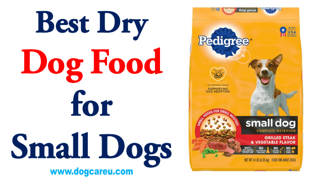 Best Dry Dog Food for Small Dogs