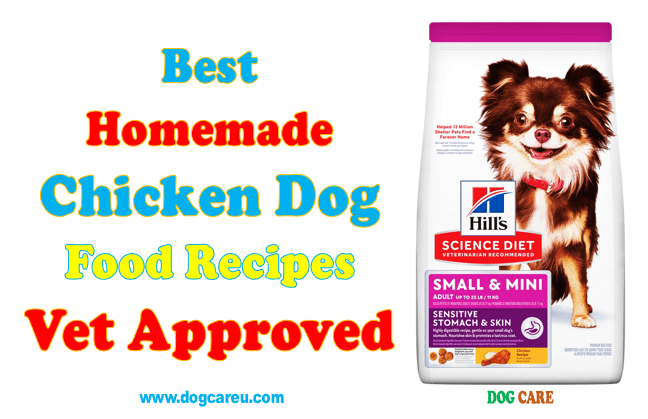 Best Homemade Chicken Dog Food Recipes Vet Approved