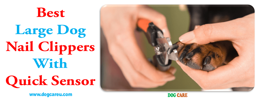 Best Large Dog Nail Clippers With Quick Sensor