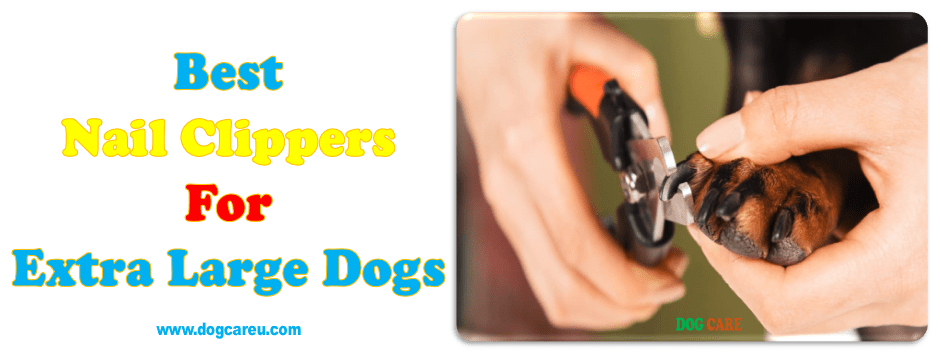 Best Nail Clippers for Extra Large Dogs