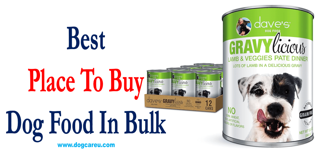 Best Place to Buy Dog Food in Bulk