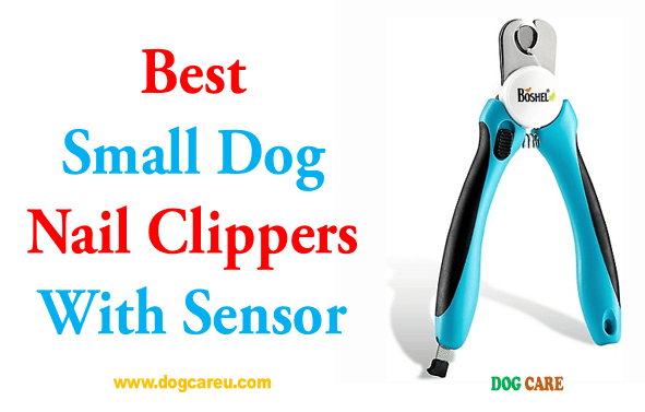 Best Small Dog Nail Clippers With Sensor