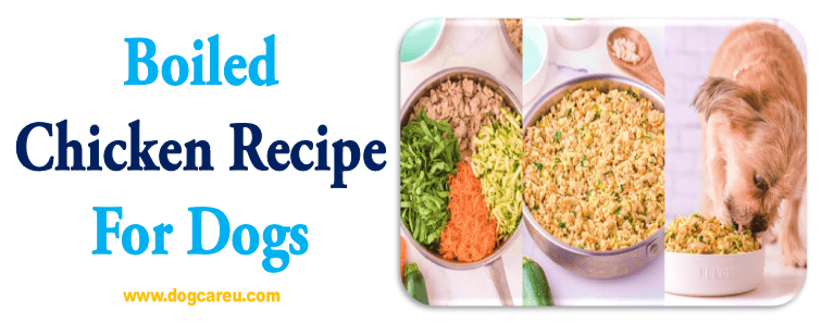 Boiled Chicken Recipe for Dogs