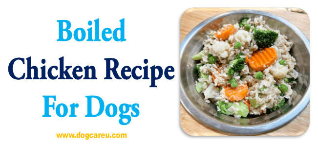 Boiled Chicken Recipe for Dogs