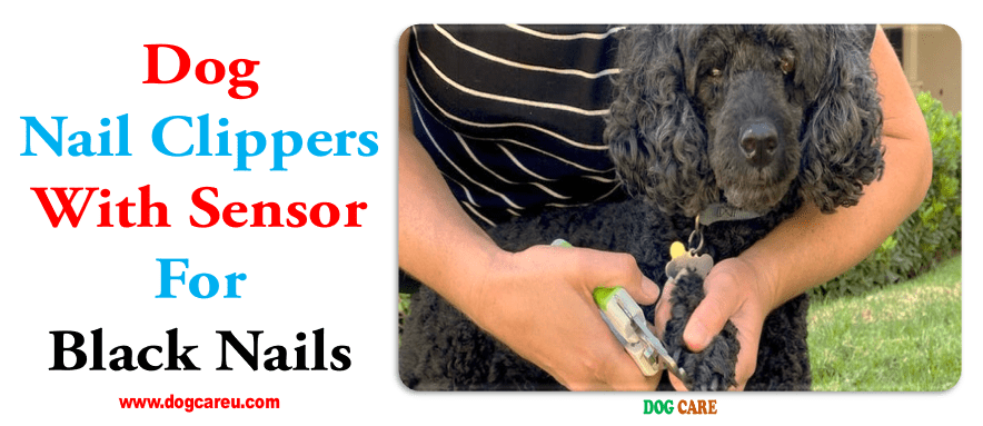 Dog Nail Clippers with Sensor For Black Nails
