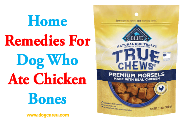 Home Remedies for Dog Who Ate Chicken Bones
