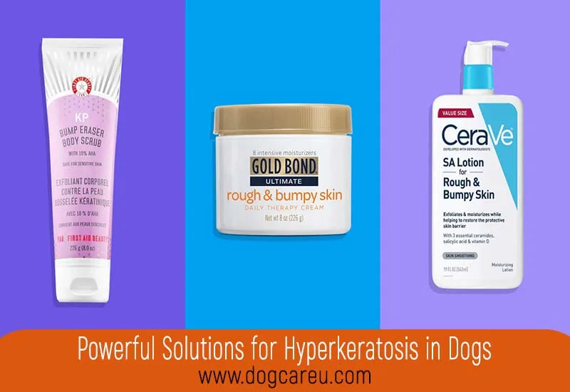 Powerful Solutions for Hyperkeratosis in Dogs